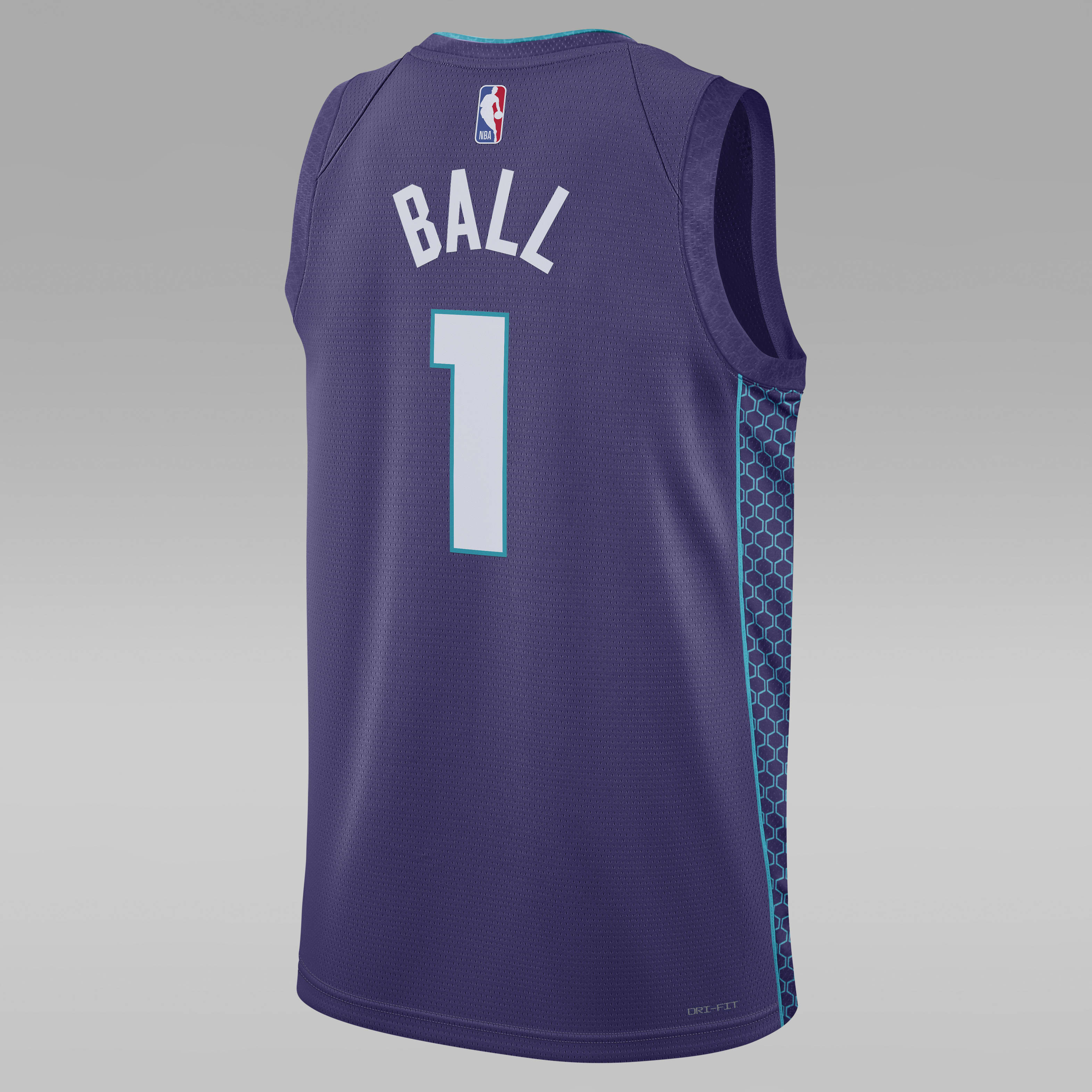 Charlotte hornets nike jersey sale